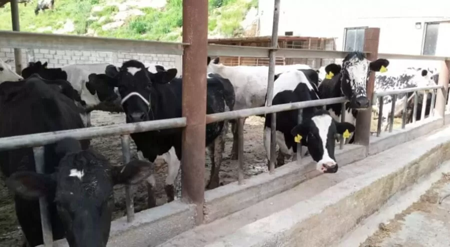 مدار الساعة,أخبار الأردن,اخبار الاردن,مؤسسة الإقراض الزراعي,الإقراض الزراعي