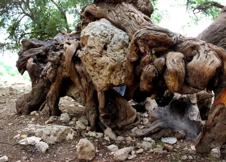 مدار الساعة,Video,فيديو,أخبار الأردن,اخبار الاردن