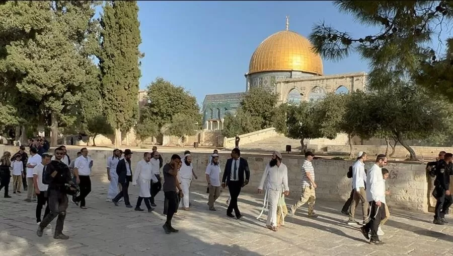 مدار الساعة,أخبار عربية ودولية,المسجد الأقصى