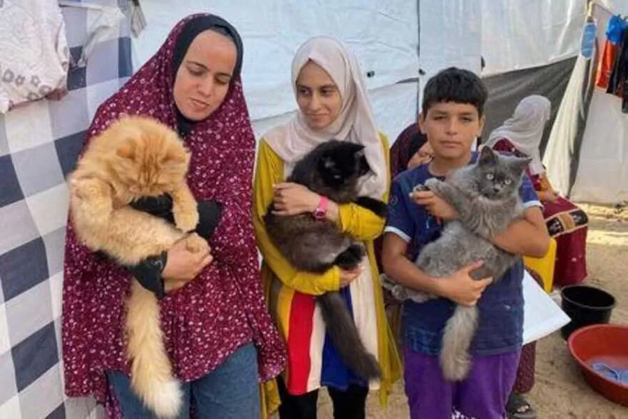 مدار الساعة,أخبار عربية ودولية,قطاع غزة,حركة المقاومة الإسلامية