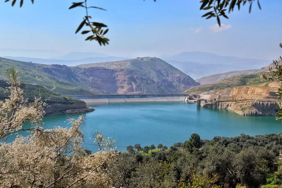 مدار الساعة,أخبار الأردن,اخبار الاردن,وزارة المياه والري,سلطة وادي الأردن,وزارة المياه,وادي الأردن