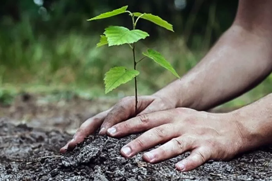 مدار الساعة,أخبار الأردن,اخبار الاردن,وكالة الأنباء الأردنية