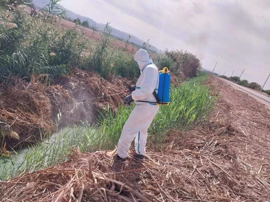 مدار الساعة,أخبار الأردن,اخبار الاردن,سلطة وادي الأردن,وادي الأردن