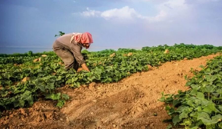 مدار الساعة,أخبار الأردن,اخبار الاردن,وكالة الأنباء الأردنية