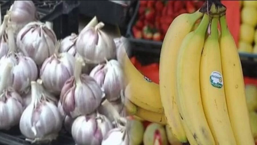 مدار الساعة,أخبار الأردن,اخبار الاردن,وزارة الزراعة