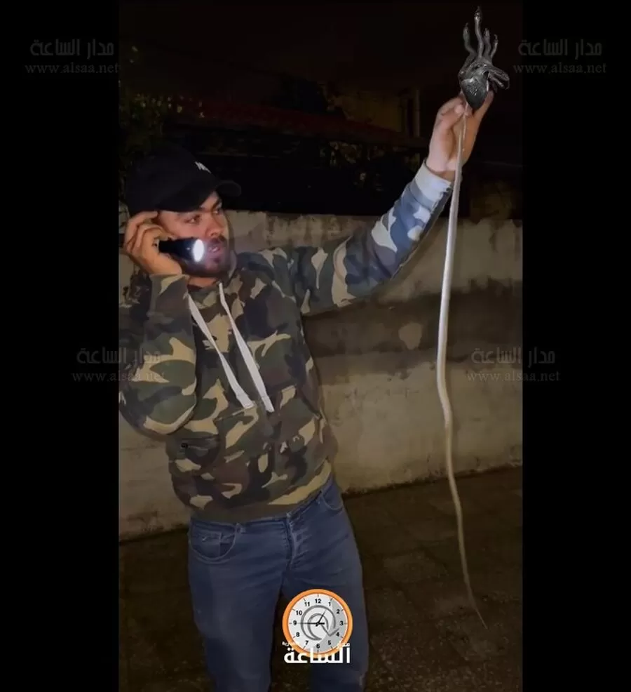 مدار الساعة,Video,فيديو,أخبار الأردن,اخبار الاردن