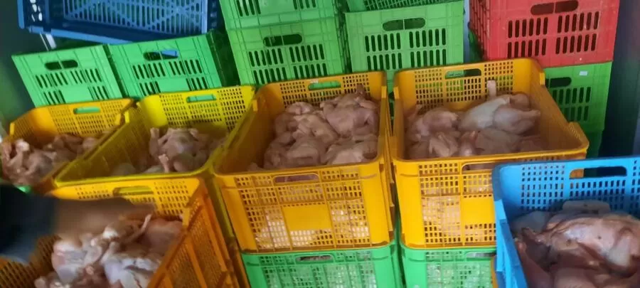 مدار الساعة,أخبار الأردن,اخبار الاردن,مديرية الأمن العام,المؤسسة العامة للغذاء والدواء,الأمن العام,البحث الجنائي