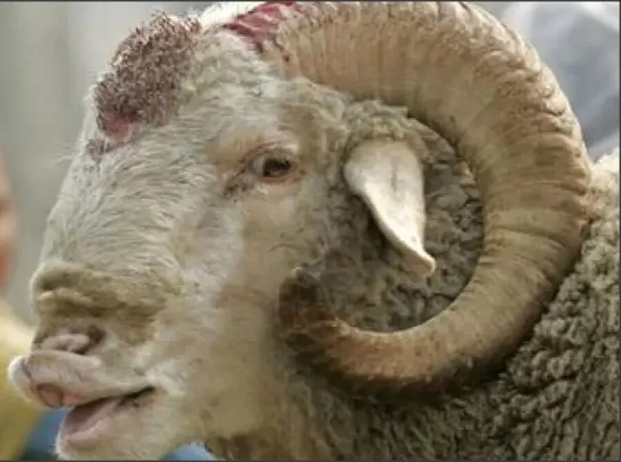 مدار الساعة,أسرار أردنية