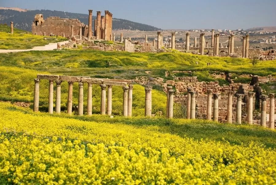 مدار الساعة,مناسبات أردنية,جامعة البلقاء التطبيقية,درجات الحرارة