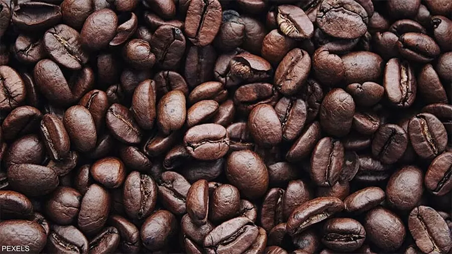 مدار الساعة,أخبار خفيفة ومنوعة