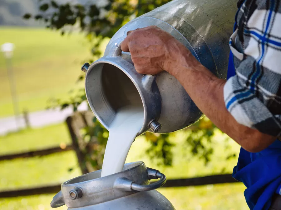 مدار الساعة,أخبار الأردن,اخبار الاردن,وزير الزراعة,وزارة الصناعة والتجارة,المؤسسة العامة للغذاء والدواء,وزارة الزراعة,وزارة الصناعة