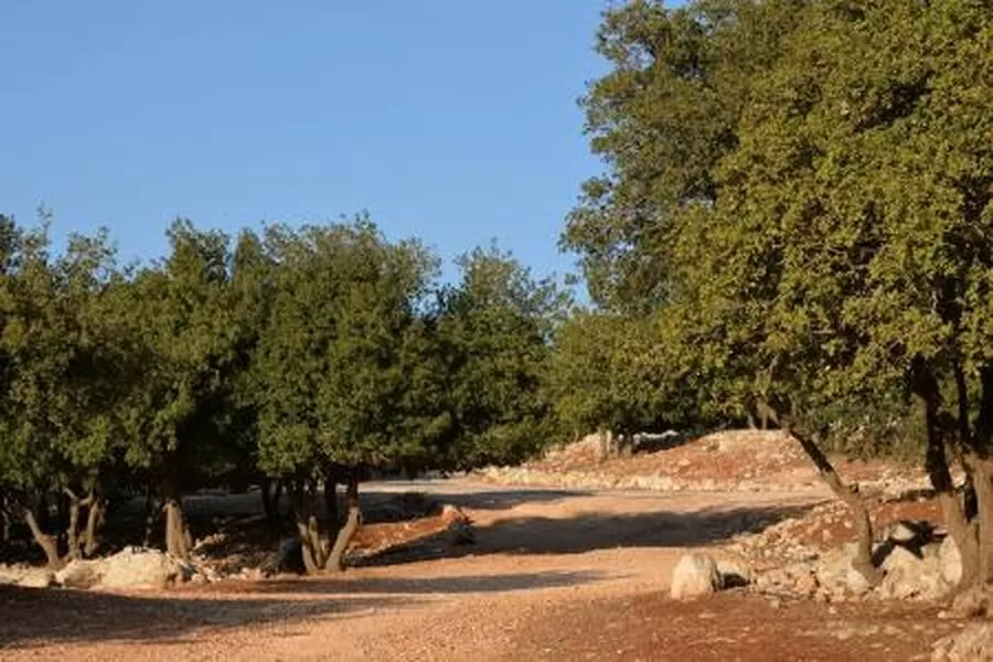 مدار الساعة,أخبار الأردن,اخبار الاردن,وكالة الأنباء الأردنية,الأرصاد الجوية,درجات الحرارة