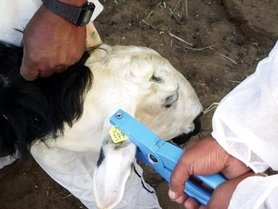 مدار الساعة,أخبار الأردن,اخبار الاردن