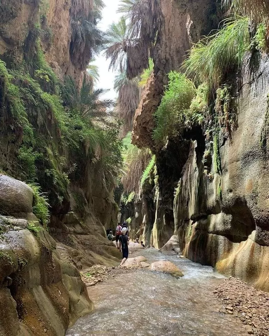 مدار الساعة,أخبار الأردن,اخبار الاردن,وزارة الأشغال العامة والإسكان,وكالة الأنباء الأردنية,وزارة الأشغال,وزارة السياحة