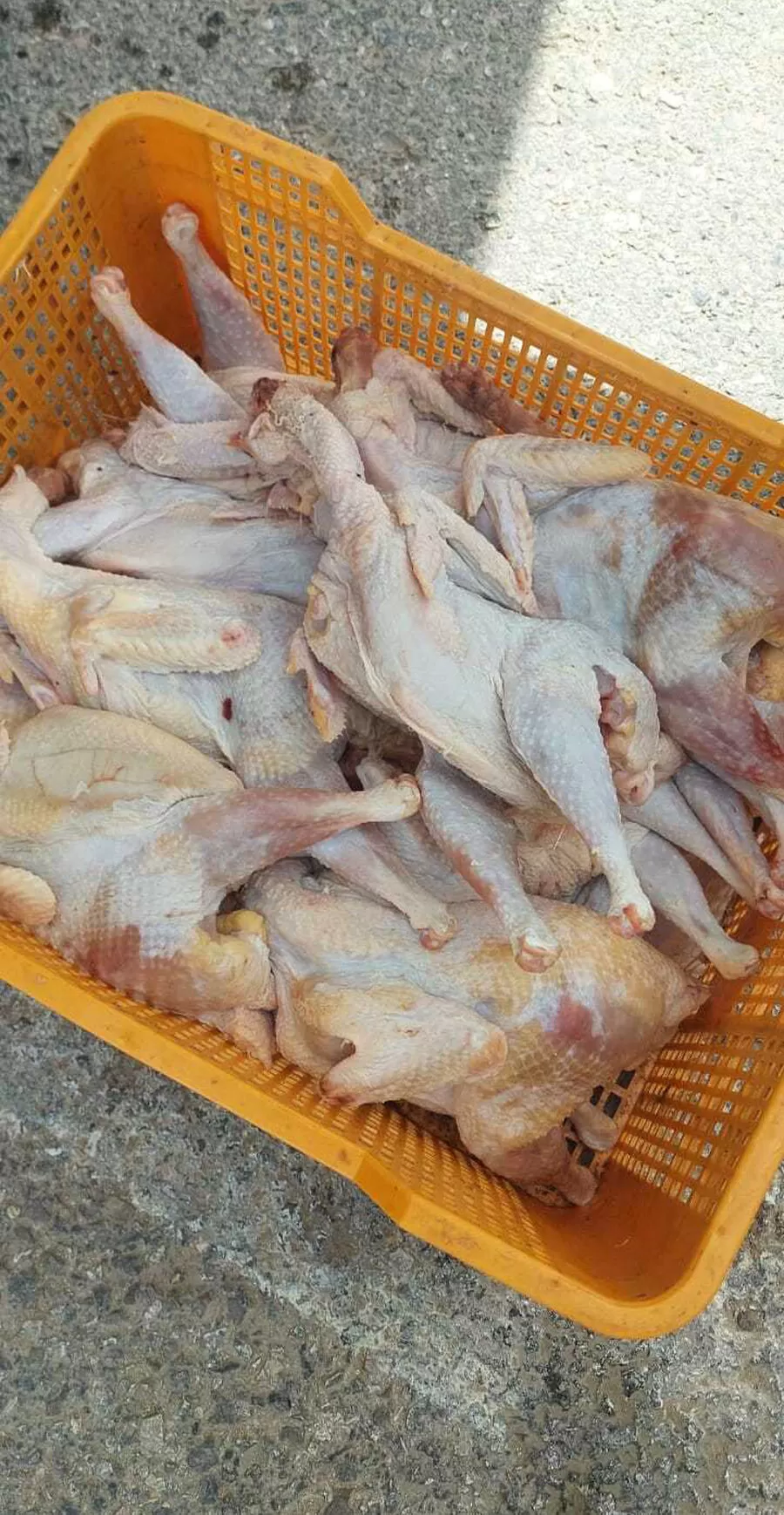 مدار الساعة,أخبار الأردن,اخبار الاردن,المؤسسة العامة للغذاء والدواء,الإدارة الملكية لحماية البيئة