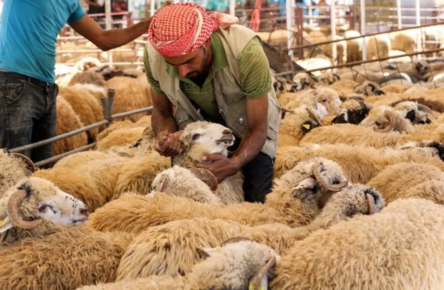 مدار الساعة,أخبار الأردن,اخبار الاردن,وكالة الأنباء الأردنية,عيد الأضحى