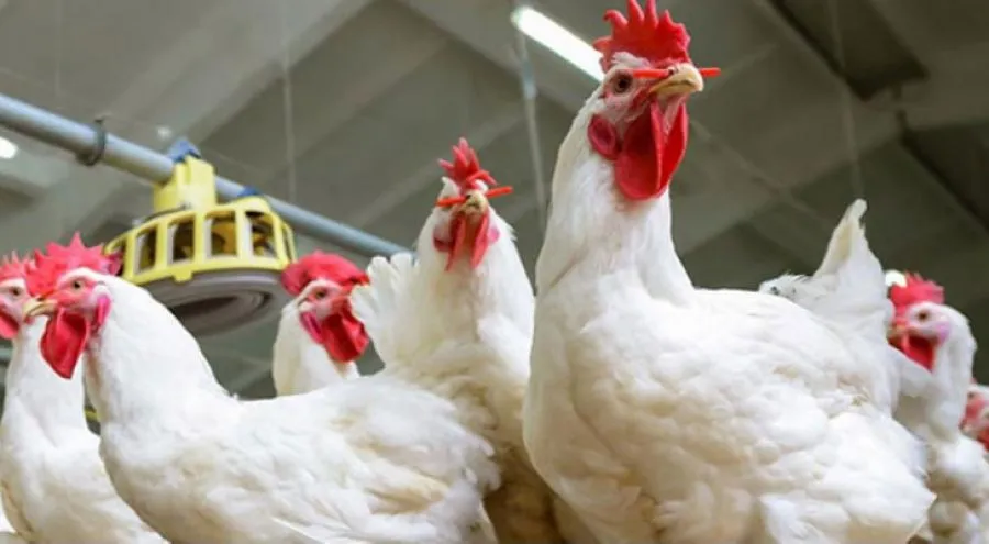 مدار الساعة,أخبار الأردن,اخبار الاردن,وزير الصناعة والتجارة والتموين