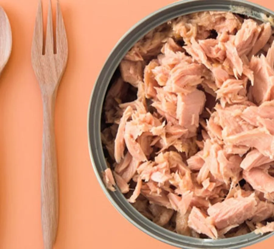 مدار الساعة,أخبار الأردن,اخبار الاردن,المؤسسة العامة للغذاء والدواء