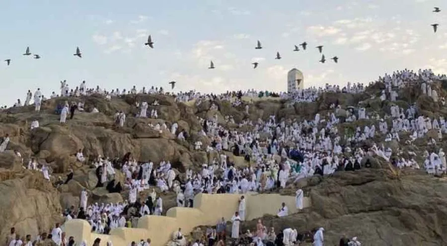 مدار الساعة,أخبار الأردن,اخبار الاردن,وزارة الخارجية وشؤون المغتربين,وزارة الأوقاف والشؤون والمقدسات الإسلامية,وزارة الخارجية,وزارة الأوقاف,بعثة الحج