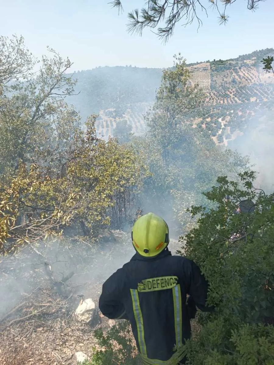 مدار الساعة,أخبار الأردن,اخبار الاردن,مديرية الأمن العام,الأمن العام,الدفاع المدني,قوات الدرك,درجات الحرارة,سلاح الجو الملكي