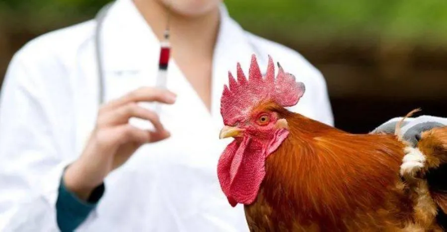 مدار الساعة,أخبار الأردن,اخبار الاردن,نقابة الأطباء