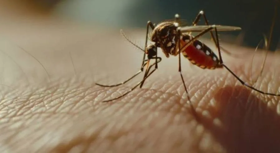 مدار الساعة,أخبار الأردن,اخبار الاردن,المركز الوطني لمكافحة الأوبئة,وزارة الصحة,وكالة الأنباء الأردنية