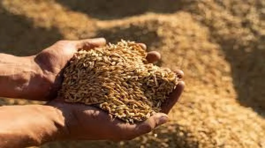 مدار الساعة,أخبار اقتصادية,وزارة الصناعة والتجارة,وزارة الزراعة,وزارة الصناعة