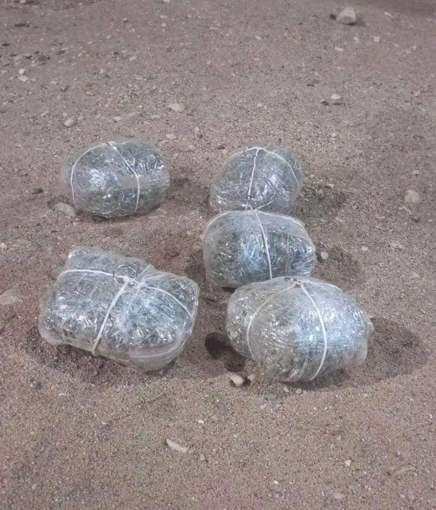 مدار الساعة,أخبار الأردن,اخبار الاردن,القوات المسلحة الأردنية,المنطقة العسكرية الجنوبية,إدارة مكافحة المخدرات,القوات المسلحة,الجيش العربي,القيادة العامة للقوات المسلحة