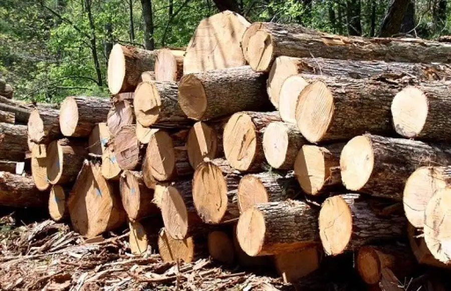 مدار الساعة,أخبار الأردن,اخبار الاردن