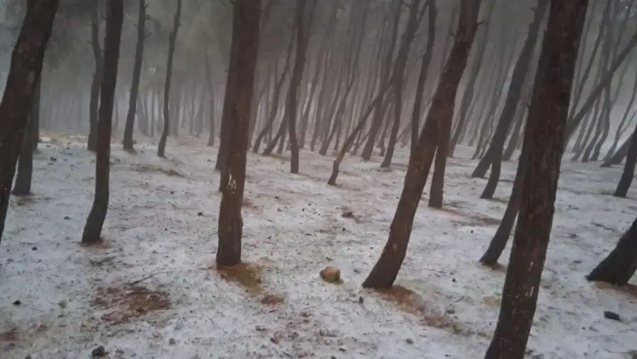 مدار الساعة,أخبار الأردن,اخبار الاردن,درجات الحرارة,البحر الميت