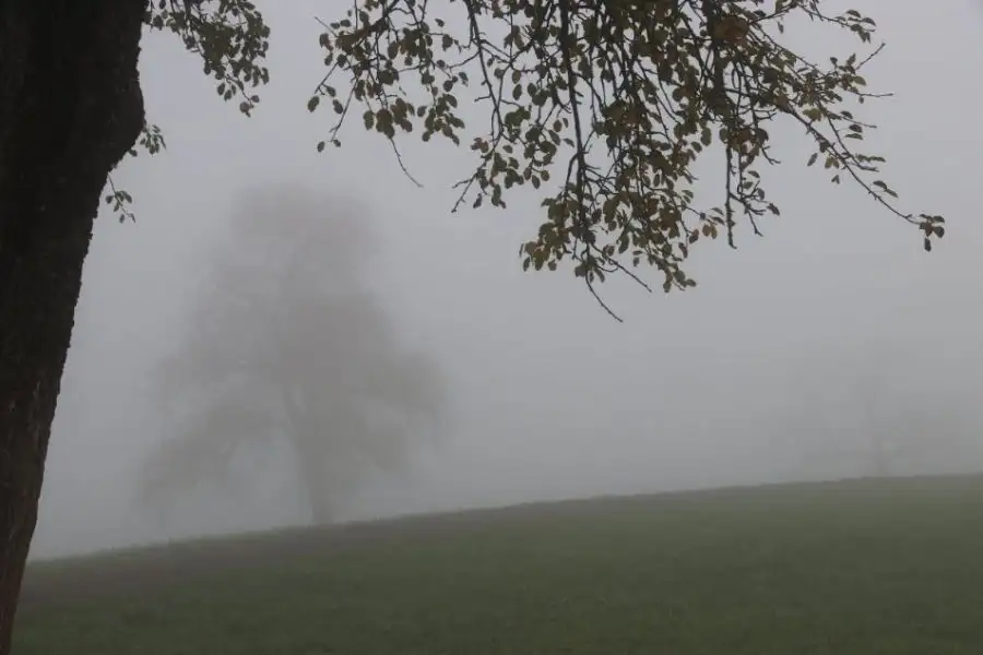 مدار الساعة,أخبار الأردن,اخبار الاردن,الحالة الجوية,مديرية الأمن العام,الأمن العام,الدوريات الخارجية