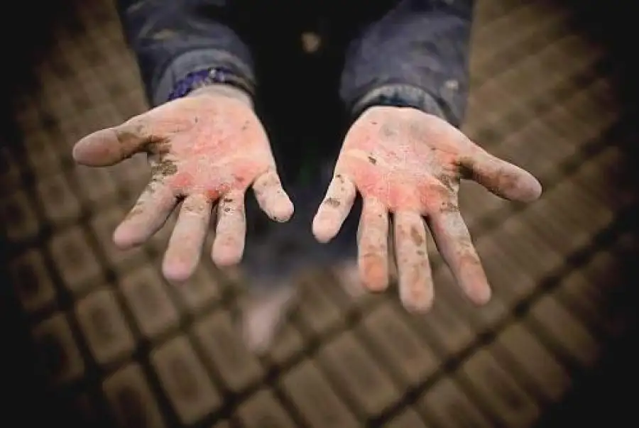 مدار الساعة,أخبار الأردن,اخبار الاردن,كورونا,دائرة الإحصاءات العامة,وزارة العمل,التنمية الاجتماعية,جامعة الدول العربية