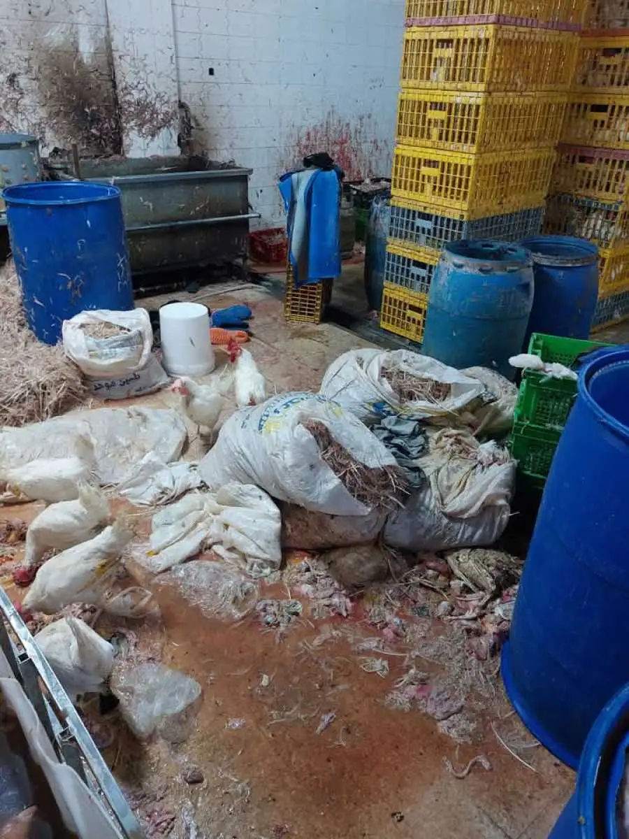 مدار الساعة,أخبار الأردن,اخبار الاردن,المؤسسة العامة للغذاء والدواء,الإدارة الملكية لحماية البيئة