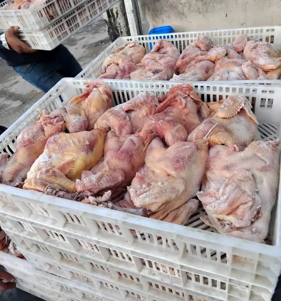 مدار الساعة,أخبار الأردن,اخبار الاردن,المؤسسة العامة للغذاء والدواء,الإدارة الملكية لحماية البيئة,الأمن الوقائي