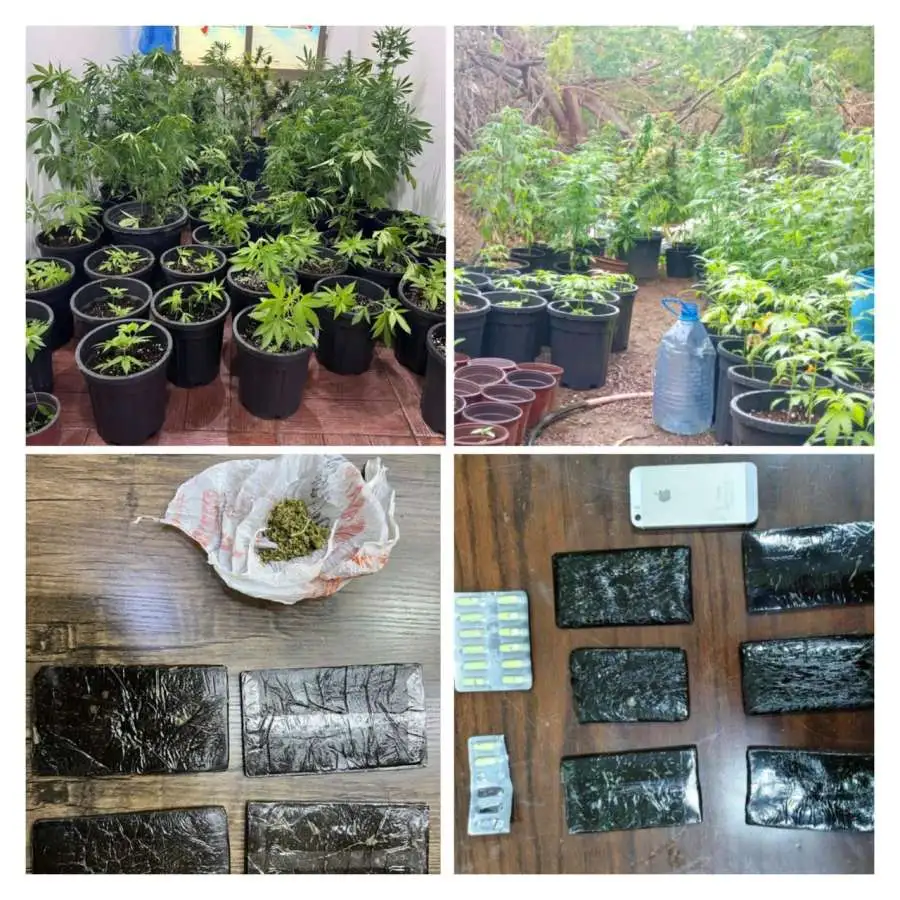 مدار الساعة,أخبار الأردن,اخبار الاردن,إدارة مكافحة المخدرات,جمهورية مصر العربية