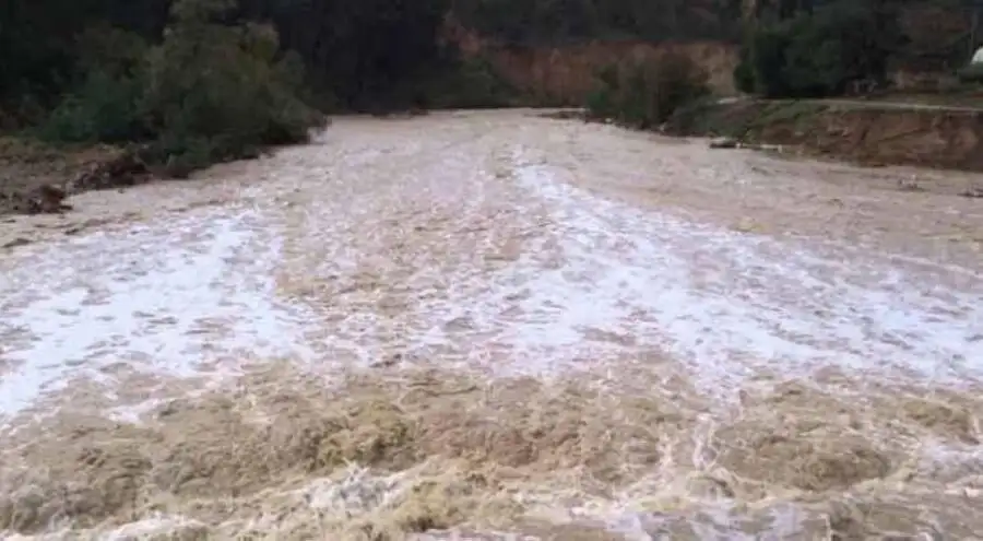 مدار الساعة,أخبار الأردن,اخبار الاردن,وكالة الأنباء الأردنية,الدفاع المدني