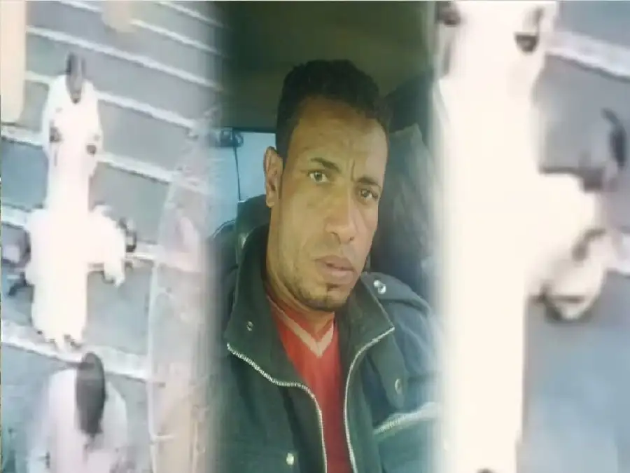 مدار الساعة,أخبار الأسرة