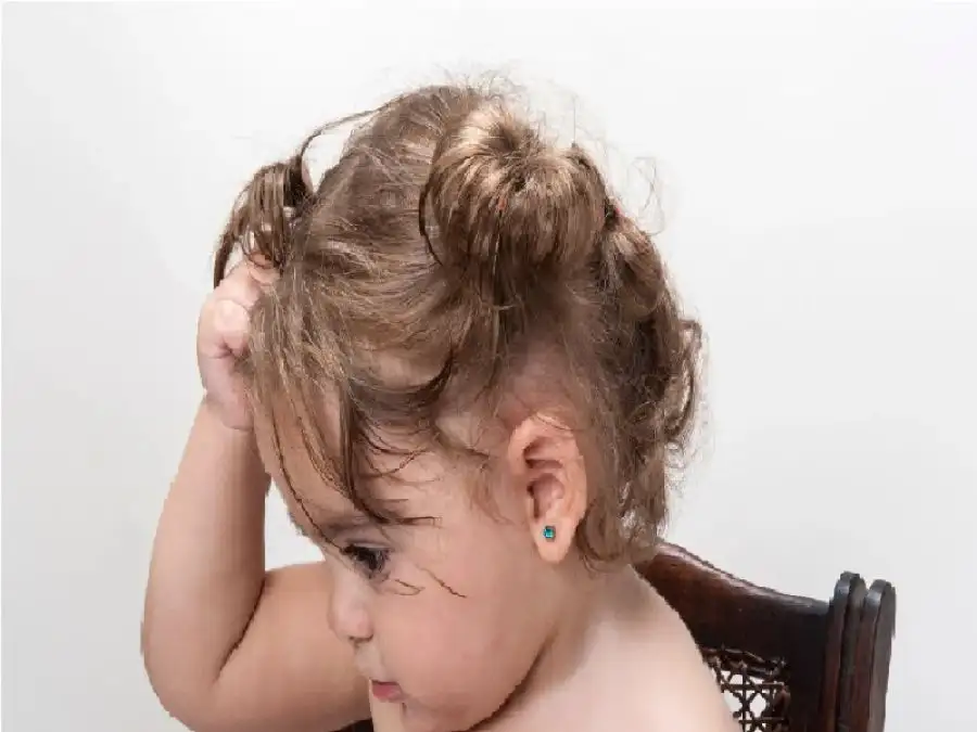 مدار الساعة,أخبار الأسرة