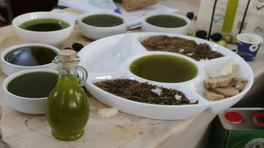 مدار الساعة,أخبار الأردن,اخبار الاردن,أخبار اقتصادية
