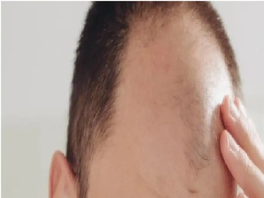 مدار الساعة,أخبار الأسرة