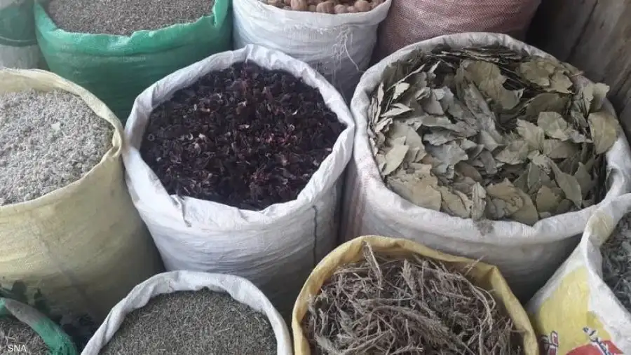 مدار الساعة,أخبار خفيفة ومنوعة,قطاع غزة,مدار الساعة,غزة,الأعشاب,إسرائيل