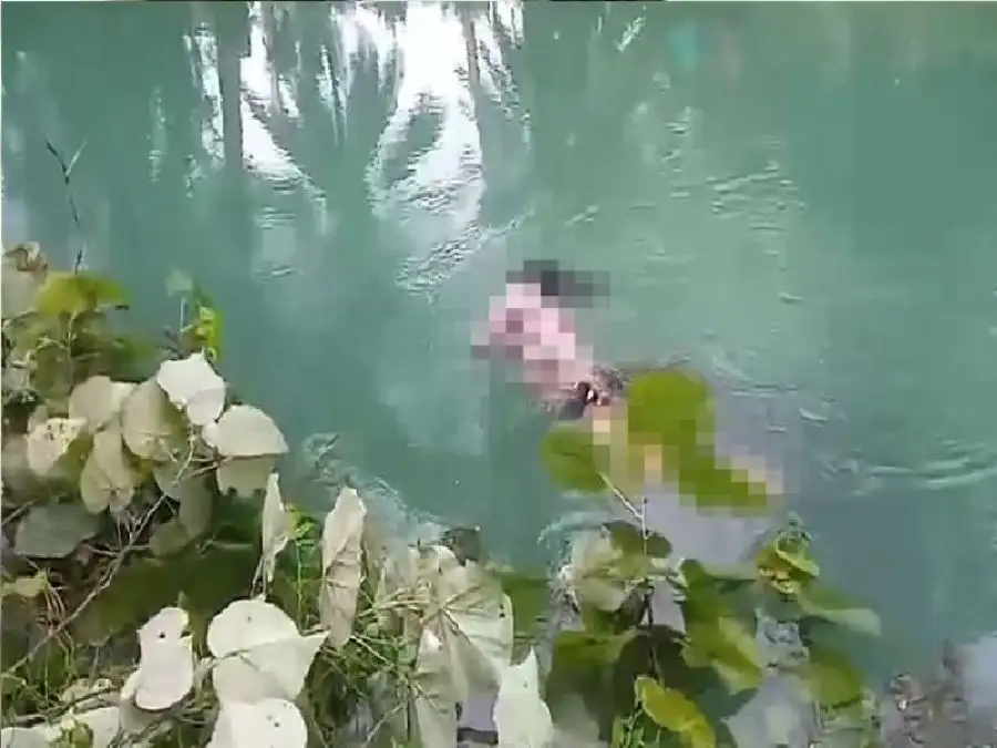 مدار الساعة,أخبار الأسرة