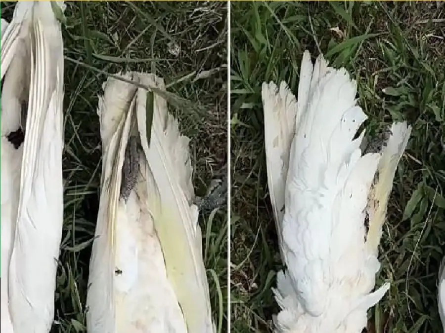 مدار الساعة,أخبار الأسرة