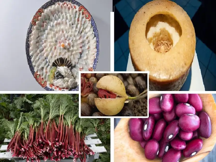 مدار الساعة,أخبار الأسرة,الاتحاد الأوروبي