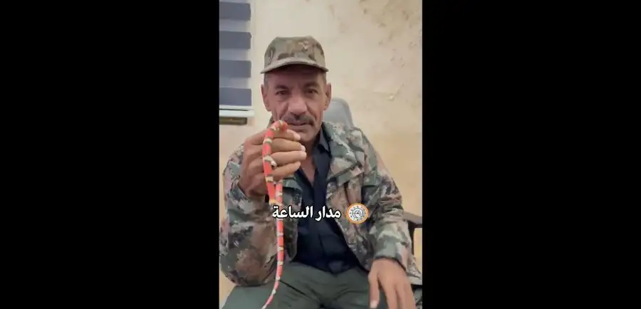 مدار الساعة,Video,فيديو,أخبار الأردن,اخبار الاردن