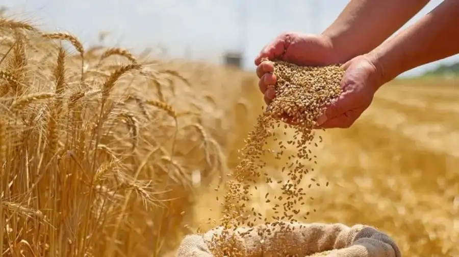 مدار الساعة,أخبار اقتصادية,مجلس النواب,أمانة عمان الكبرى