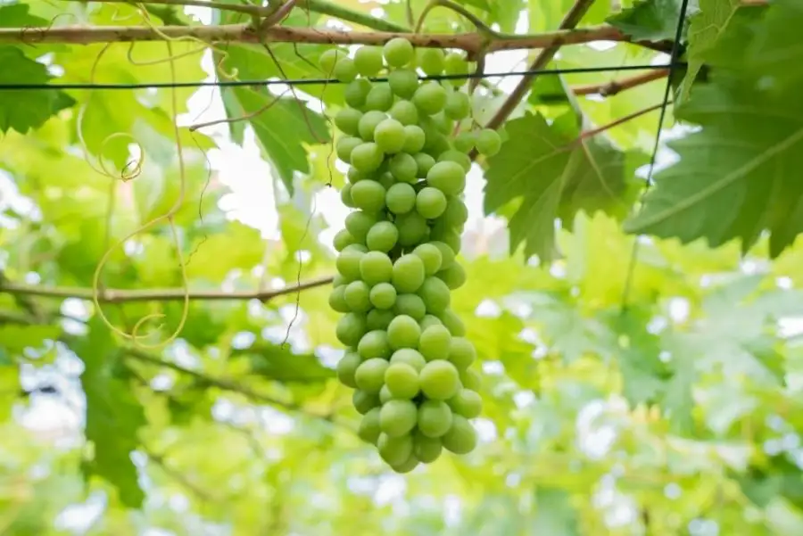 مدار الساعة,أخبار الأردن,اخبار الاردن