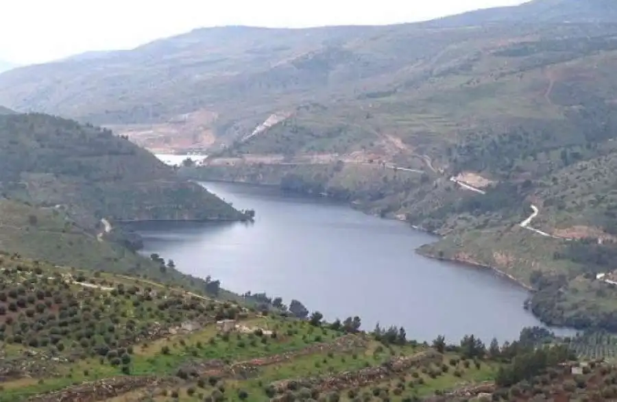 مدار الساعة,أخبار الأردن,اخبار الاردن,وزير المياه والري,الملك عبدالله الثاني,رائد أبو السعود,رئاسة الوزراء,وزارة المياه والري,سلطة المياه,سلطة وادي الأردن,وزارة المياه,وادي الأردن,عيد الاستقلال
