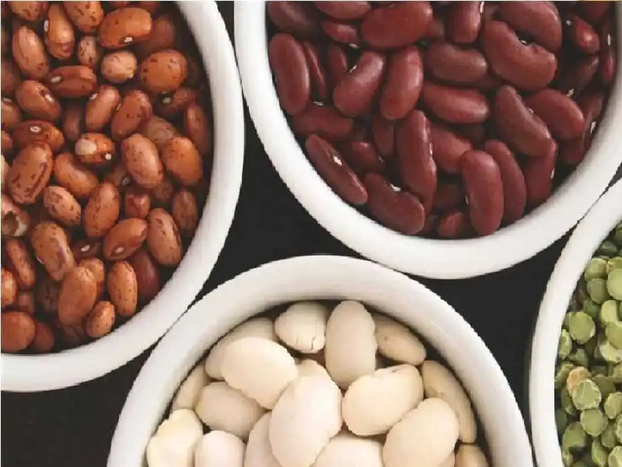 مدار الساعة,أخبار الأسرة