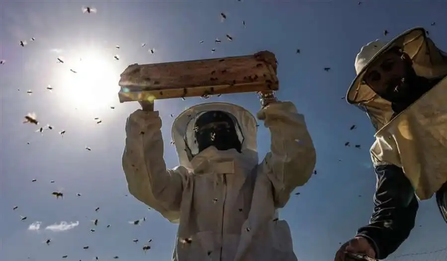 مدار الساعة,أخبار الصحة والأسرة